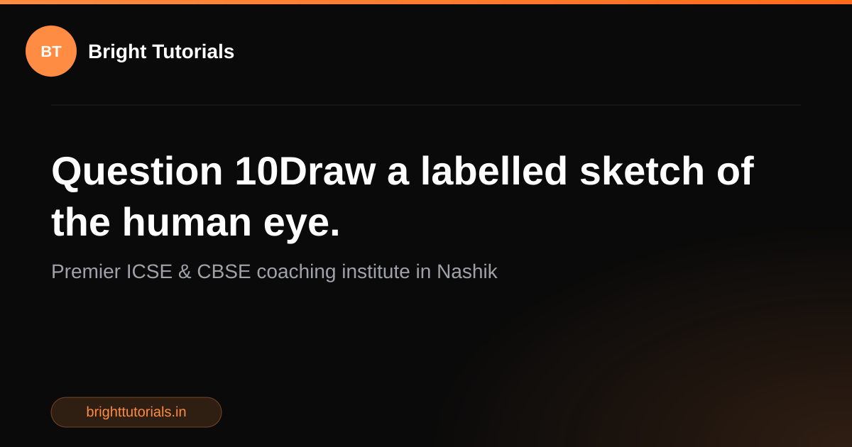 Q10: Question 10Draw a labelled sketch of the human eye. | Science ...